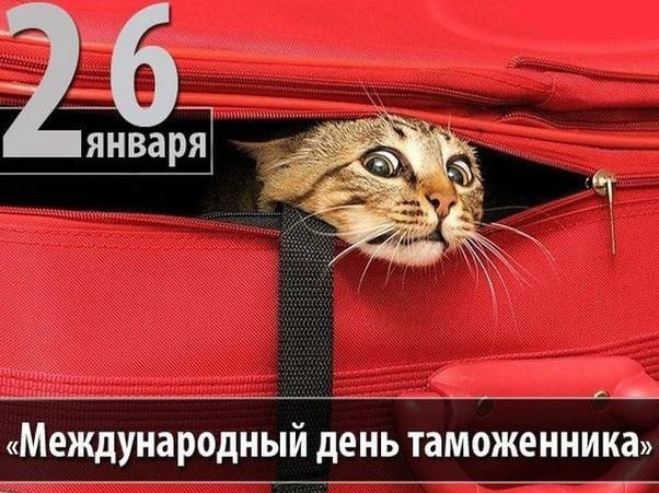 Красивое Музыкальное Поздравление! С Днем Таможенника!