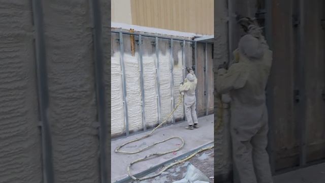 #ппу #пенаполиуретан #30плотность. #ппуташкент #напыление смотреть онлайн