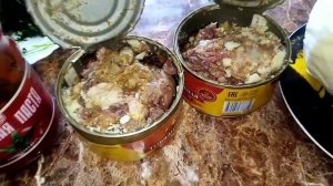 Щи с говяжьей тушенкой ??