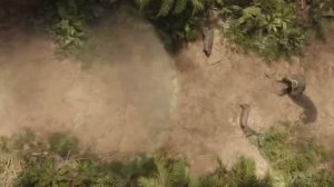 Женщина Халк против Халка (Женщина Халк)