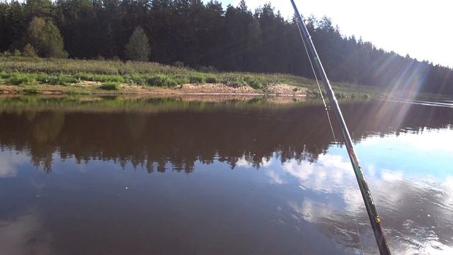 Ловля белой рыбы на поплавочную снасть в проводку на реке Гауя LV.Makšķerēju upē ar pludiņmakšķeri. смотреть онлайн