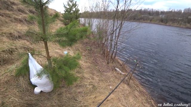 РЕКА ЛУГА ловим СЫРТЬ ранняя ВЕСНА смотреть онлайн