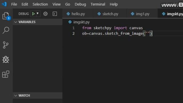 Explain sketchpy image sketch in python | codee_concepts | #python #coding #viralvideo