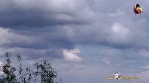 Чудеса Хабаровского края. Тайны Б. Уссурийского острова май 2020