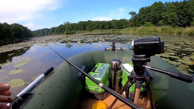 РЫБАЛКА на ПОПЛАВОК!!! Дикие КРУПНЫЕ КАРАСИ в кувшинках!!! смотреть онлайн