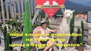 Парк альпак и родельбан на Роза Хутор. Цены в буфете "Берлога".