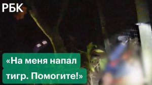 Тигр едва не оторвал руку уборщику. Полиция застрелила животное: шокирующее видео из зоопарка в США