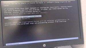 Windows Error Recovery, Launch Startup Repair (Recommended), Start windows normally (DELL)
