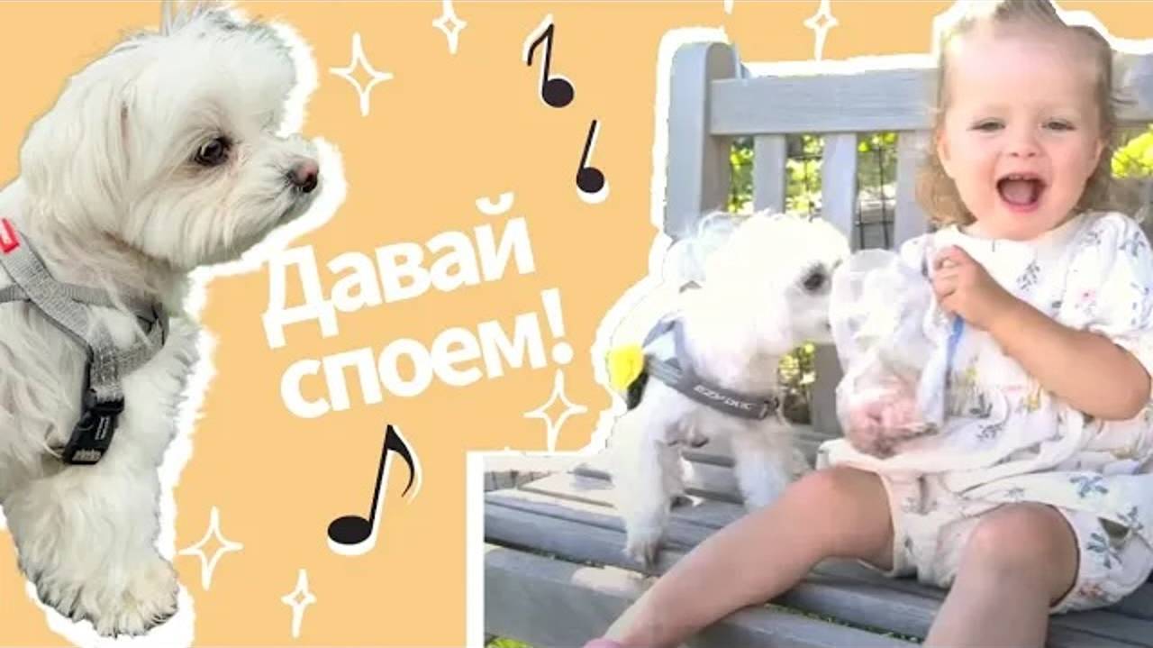 Веселая и милая детская песенка на английском про девочку и собачку 🧒💕🐶 смотреть онлайн