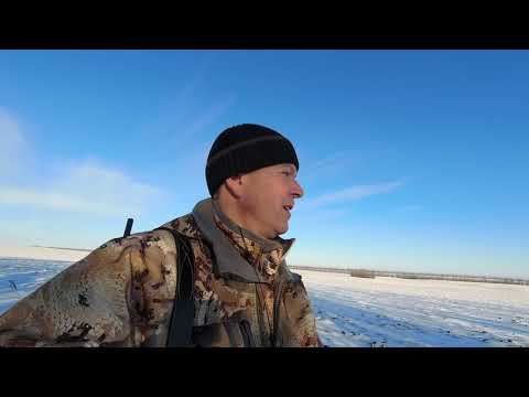 Охота на лису и первый трофей смотреть онлайн