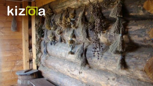 Стихи о лете и цветах Скарлыгин Г. Зацвела в июне трава (читает Любовь Горн) смотреть онлайн