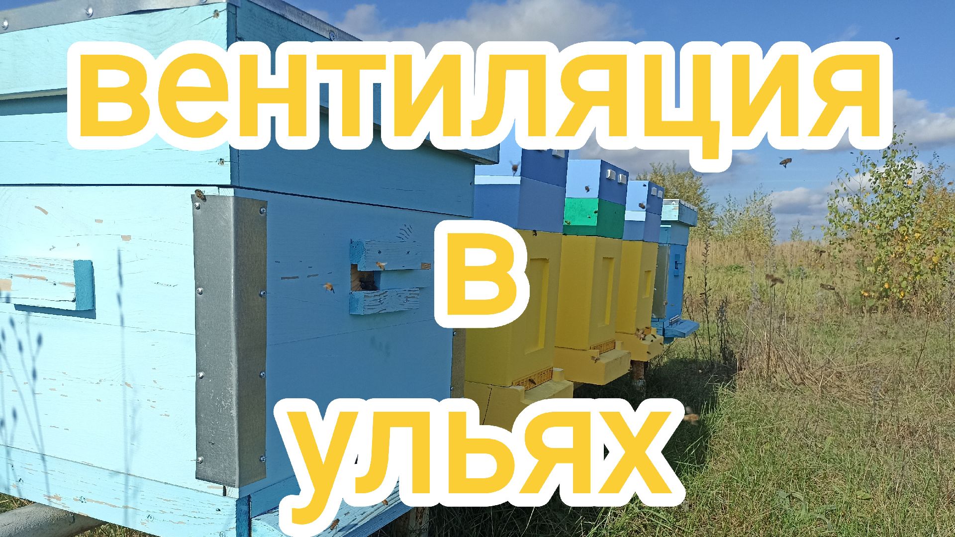 Верхняя и нижняя вентиляция. Пчеловодство.