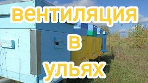 Верхняя и нижняя вентиляция. Пчеловодство.
