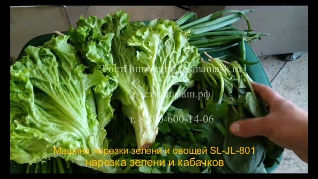 Нарезка зелени и овощей на Машине SL-JL-801 от РостПищМаш смотреть онлайн