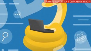 Обучение айти специалистов с нуля 🚫