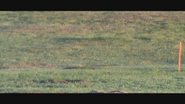 Prairie Dog Hunt 2010 (Open Season) смотреть онлайн