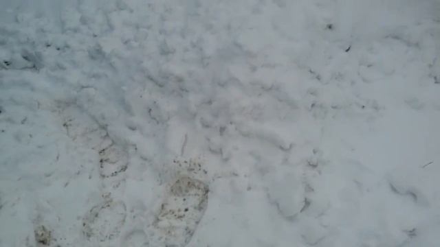 Kia Rio Дроссельная Заслонка смотреть онлайн