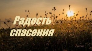 Радость спасения.. (рассказ)