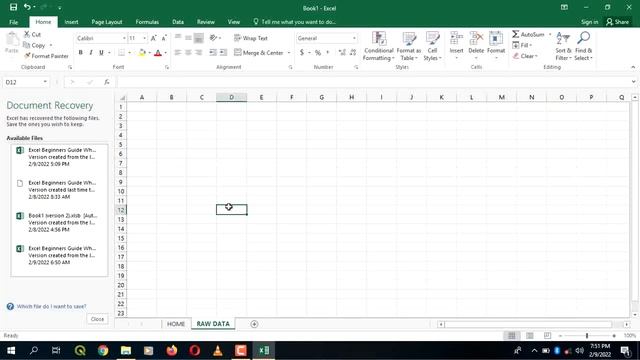 MICROSOFT EXCEL FOR BEGINNERS