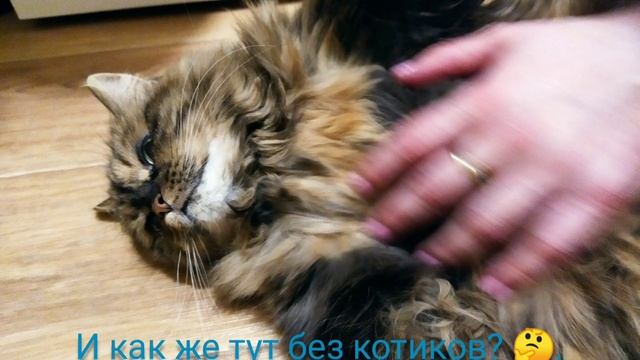 Салат из моркови - Фантастический салат из МОРКОВИ - Простой рецепт вкусного, быстрого салата