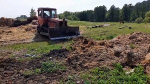 ДТ-75 добрался и донас чистка навоза и выравнивание территории