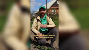 Удобрение комплексное жидкое Белвито для клубники, 470 мл.