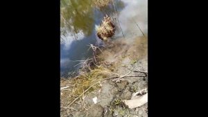 рыбалка и открытие купального сезона