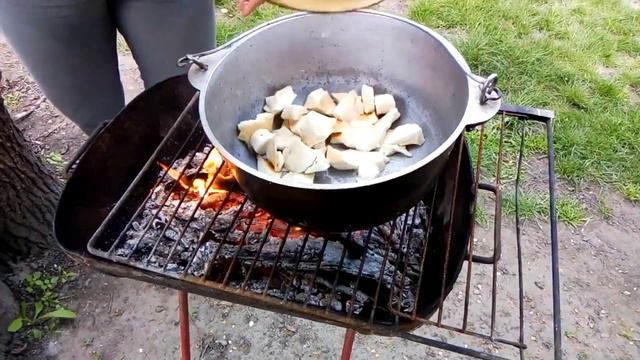 Готовим гриб Трутовик чешуйчатый (пестрец) | Сooking mushroom Dryad’s saddle