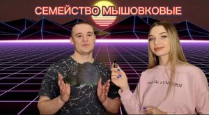 Животный мир. Семейство мышовковые.