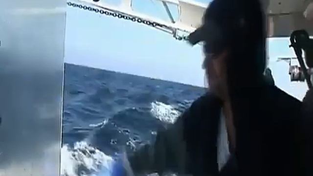 Рыба меч  Жизнь на крючке 1 й сезон 5 я серия