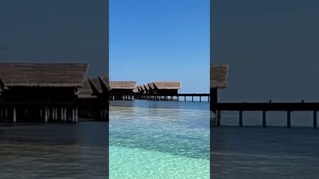 Мальдивы. Пляж и домики на воде на Резорте. Мальдивы за 56 тысяч рублей с перелетом.Канал Тутси влог