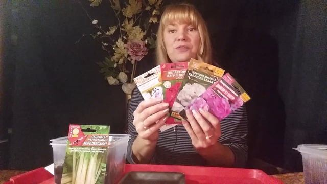 сажаем клубнику семенами