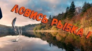 Russian Fishing 4 /Русская рыбалка 4 по рыбным местам