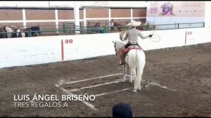 cuartos de final nacional aaa 2019 piales toronjo enrique ramirez juan soltero juan pablo franco