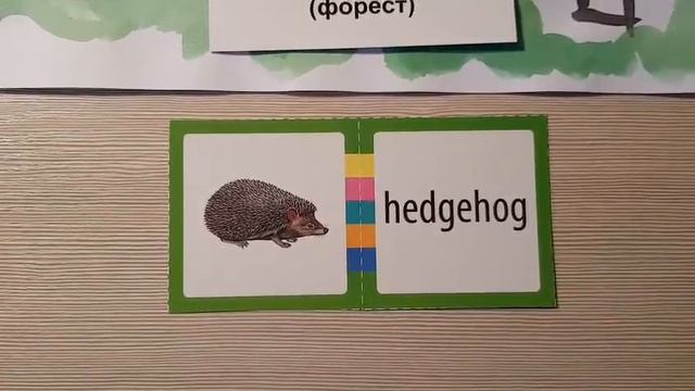 Английский с Улыбкой часть 9 In the Forest. Какие животные живут в лесу? смотреть онлайн