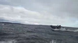 Море волнуется раз. Лодка пнд Север 460 XL. The sea is agitated once. Boat HDPE North 460 XL