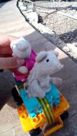 Видео глазами мышунь! Мышуни решили показать детям, как они видят, когда едут на машинке