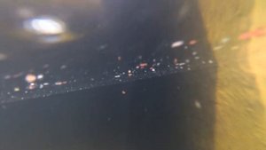 Карп Кои - кормление малёк