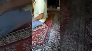 #кот #кошка #намаз КОШКА ИГРАЕТ ВО ВРЕМЯ НАМАЗ