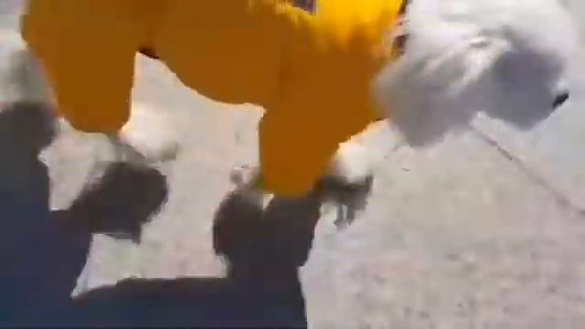 Комбинезон для собаки стежка смотреть онлайн