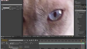 Как изменить цвет глаз в After Effects