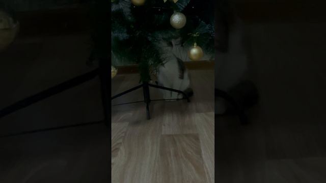 #вадимминязев #ваз #автоваз