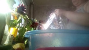 Колбаса по рецепту Дианы Строгой