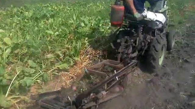 Картофелекопалка транспортерная