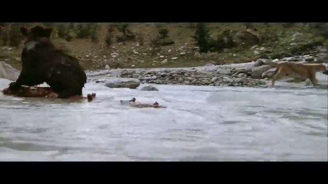 Клип. Не забывай, что Бог с тобой _. смотреть онлайн