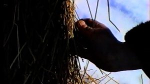 Сжигание чучела Масленицы - 1996 год  Из архива ВЦРК