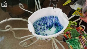 Эксперимент hitsadTV ? Выращиваем зелень в гидрогеле! ? Мастер-класс