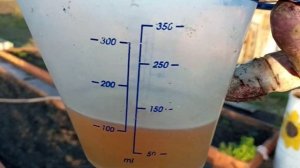 Готовлю бродилку без запаха