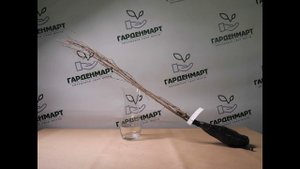 Гранат Азиатский