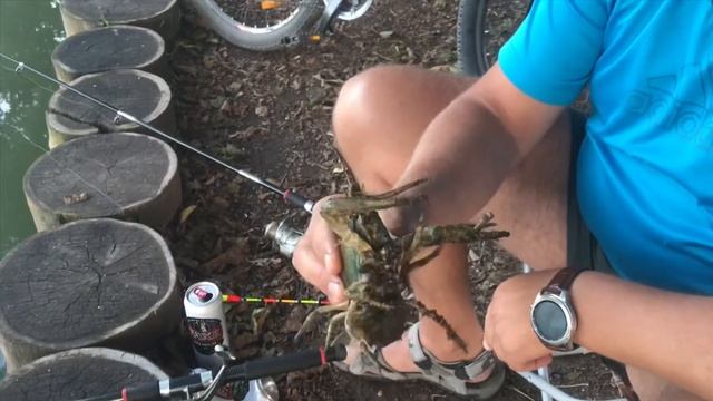 Рыбалка ловим раков в Москве смотреть онлайн